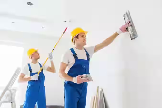 Why Choose Color Vibes Painters for Your Painting Needs in Auckland